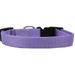 Nylon Dog Collars Durable Adjustable Snap Buckle Pick From 5 Sizes & 16 Colors (Lavender Large 18 to 26 inch x 1 )