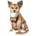 Pet Life Â® Luxe Dapperbone 2-In-1 Adjustable Fashion Dog Harness and Leash