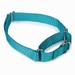 GG Nylon Martingale Collar