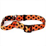 Yellow Dog Design M-HPD102M Halloween Polka Dot Martingale Collar - Medium