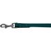 Mirage Pet 124-1 TL1006 Plain Nylon Pet Leash Teal - 1 in. by 6 ft.