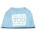 Mirage Pet Products 51-142 LGBBL You Go Fetch Screen Print Shirt Baby Blue Lg - 14