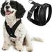 Gooby Comfort X Head-In Harness - Black Large - Breathable Lightweight Wrinkle Free Mesh Harness with Patented Choke-Free X Frame for Small Dog and Medium Dog Indoor and Outdoor use