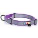 Pawtitas Martingale Dog Collar Puppy Collar Reflective Dog Collar Training Dog Collar Dog Collar Medium Dog Collar Purple Orchid Dog Collar