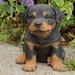 Hi-Line Gift Ltd Rottweiler Puppy