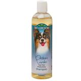 Bio-groom protein lanolin conditioning shampoo 12-oz bottle