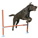 Rosewood Pet Agility Hurdle Dog Training Toy