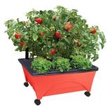 City Picker Raised Bed Grow Box â€“ Self Watering and Improved Aeration â€“ Mobile Unit with Casters - Picker Red