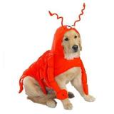 LOBSTER COSTUME for DOGS Dress Your Pooch Like Everyone s Favorite Crustacean (Lobster Paws xxLarge)