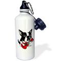 3dRose Funny Cute Boston Terrier Puppy Dog Playing Guitar - Water Bottle 21-ounce