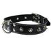 Real Leather Black Spiked Dog Collar Spikes 1.25 Wide. Fits 15.5 -20 Neck Medium Breeds