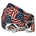 Country Brook Petz - 1 inch Patriotic Tribute Dog Leash - Americana Collection with 3 Patriotic Designs (6 Foot)