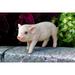 Hi-Line Gift Ltd. Standing Baby Pig Garden Statue