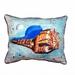 Betsy Drake ZP533 Amber Shell Extra Large Zippered Pillow - 20 x 24 in.