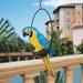 Design Toscano Polly in Paradise Parrot Hanging Bird Ring Perch Statue Medium 14 Inch Polyresin Full Color