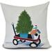 Simply Daisy Take Me Home Geometric Print Outdoor Pillow