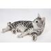 Hi-Line Gift Ltd. American Shorthair Lying Down Statue