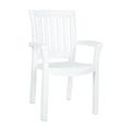 Compamia Sunshine Transitional Resin Patio Dining Arm Chair in White