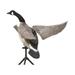 Lucky Duck Lucky Flapper Canada Goose Decoy