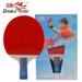 Double Fish Professional Wood Blade Table Tennis Racquet (Shakehand)- 3A