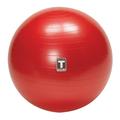 Body-Solid Exercise Ball 55cm Grey (BSTSB55)
