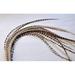 Feather Hair Extension 8 to 13 5 Beautiful Genuine Thin Long Grizzly & Beige Feathers for Hair Extension Salon Quality!