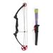 Genesis Original Universal Compound Bow and Arrow Kit Right Handed Blue