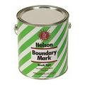 Nelson Paint Boundary Marking Paint 1 gal Green 29 19 GL GREEN