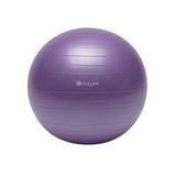 Gaiam Total Body Balance Ball Kit Purple 55cm