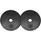 Yes4All 1-inch Cast Iron Weight Plates for Dumbbells â€“ Standard Weight Disc Plates (5 lbs Set of 2)