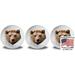 Wild Animal Bear Golf Balls 3 Pack with Full color Photo Imprint by GBM Golf