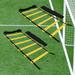 Lot of Two 8 - 12 - 16 Feet Agility Ladder Speed Training Equipment for Kids and Adults with Carrying Bag