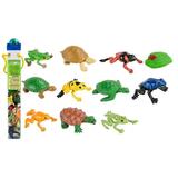 Safari Ltd Frogs and Turtles TOOB