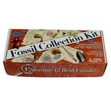 FOSSIL COLLECTION KIT (12 pc): Trilobite Dinosaur Bone Sharks teeth Coprolite (fossilized Turtle Poop) & more! Geological Time Scale Magnifying Glass Educational Science Set Dancing Bear Brand