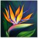 Epic Graffiti Flower of Paradise Acrylic Wall Art 24 x 24