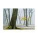 Trademark Fine Art Winter Colors Yellow Canvas Art by Lars Van de Goo