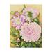 Trademark Fine Art Spring Peony Canvas Art by Joanne Porter