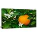 DESIGN ART Orange Blossom - Art Portrait Canvas Print 20 in. wide x 12 in. high