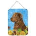 Carolines Treasures SS4165DS1216 Curly Coated Retriever in Summer Flowers Wall or Door Hanging Prints 12x16 multicolor