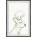 Marmont Hill Printed Animals & Insects Framed Art Prints by Parvez Taj