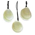 Kurt S. Adler 35699 - 10 Light Battery Operated Sea Shell LED String Set (C7707 B/O 10LT LED WHITE NATURE SEA SHELL LIGHT SET)