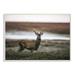 Stupell Industries Wild Deer Animal Landscape Photo Wall Plaque Art by Villager Jim