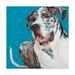 Trademark Fine Art Dlynns Dogs Apollo Canvas Art by Dlynn Roll