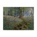 Trademark Fine Art Bluebell Wood Canvas Art by Bill Makinson