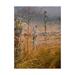 Trademark Fine Art Autumn Mist Overgrown Canvas Art by Michael Budden