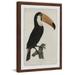 Marmont Hill Mh-Vntrpl-81-Dwfpfl-24 24 X 16 Quiet Toucan Framed Giclee Painting On