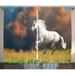 Animal Decor Curtains 2 Panels Set Andalusian Horse with a Majestic Dust Cloud Background Strong Desires Sign Photo Living Room Bedroom Accessories 108 X 84 Inches by Ambesonne
