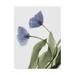 Trademark Fine Art Xray Tulip III Canvas Art by Judy Stalus