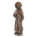 10.75 Inch Immaculate Heart of Mary Bronze Finish Statue Figurine