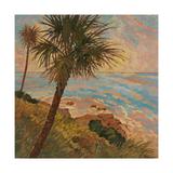 Trademark Fine Art Palm Breeze II Canvas Art by Graham Reynolds